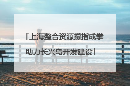 上海整合资源攥指成拳助力长兴岛开发建设